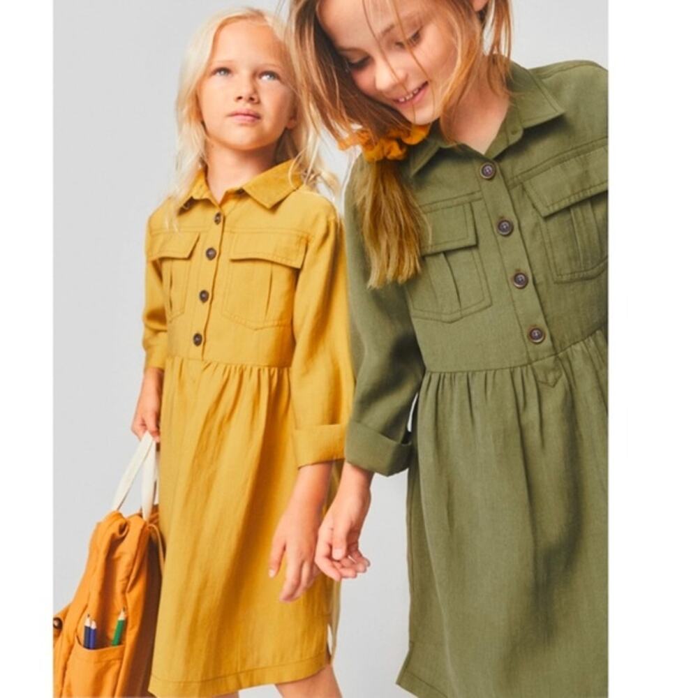 Zara Long Sleeve Button Down Dress